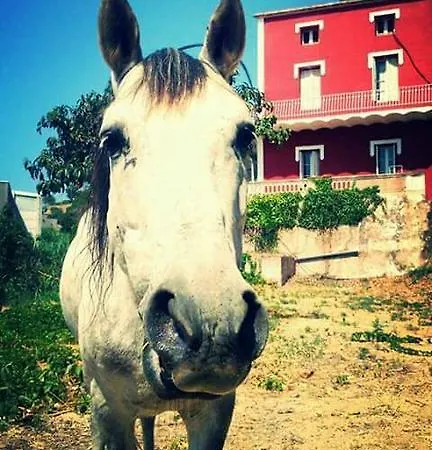 Plana De Baix *